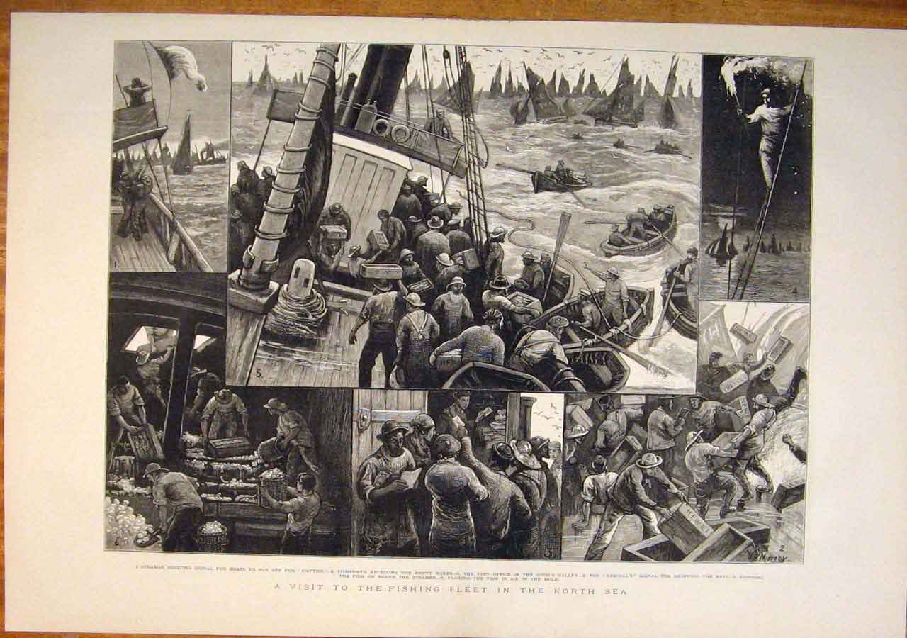 Original Old Antique Print Fishing Fleet North Sea Fishermen Boat Fish Steamer