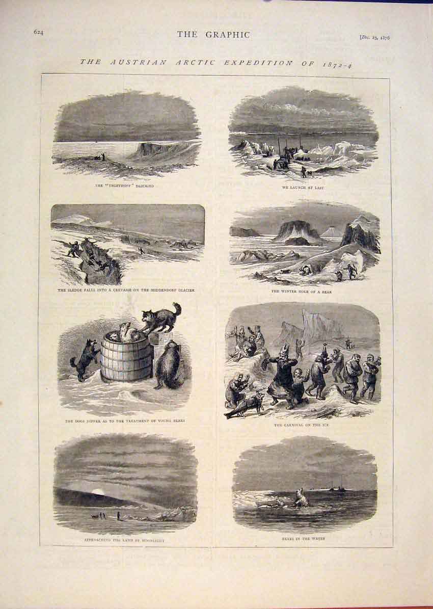 Old Antique Print Austrian Arctic Expedition 1872 Glacier Bear Dgos 1876 19th