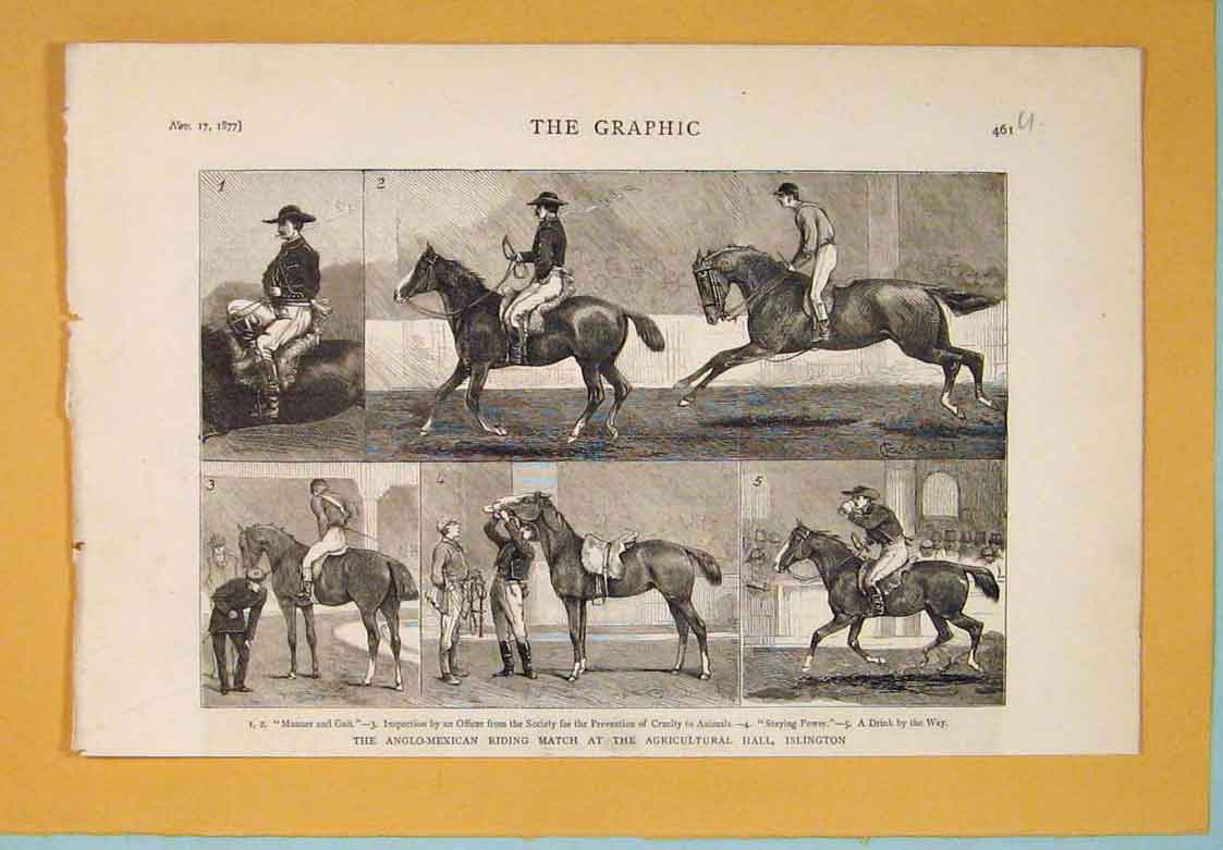 Old Antique Print Anglo Mexican Riding Match Islington Horses Horse 1877 19th