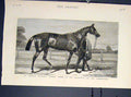 Old Antique Print American Raceshorse Foxhall Cesarewitch Cambridgshire