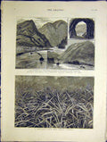 Old Antique Print Canadian Pacific Railway Yale Pine-Apple Nassau Bahamas
