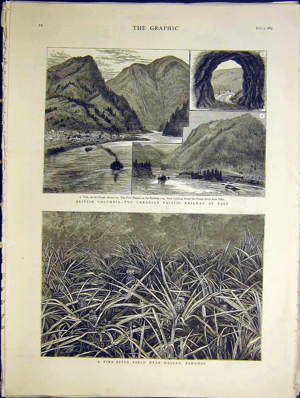 Old Antique Print Canadian Pacific Railway Yale Pine-Apple Nassau Bahamas