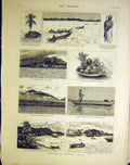 Old Antique Print Sketches Africa Palm Factory Sierra Leone Liberia 1883 19th