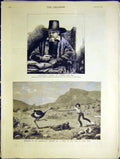 Original Old Antique Print Rembrandt Petrus Van Tol Ostrich Cape Africa 1883
