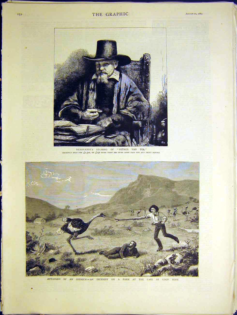 Original Old Antique Print Rembrandt Petrus Van Tol Ostrich Cape Africa 1883