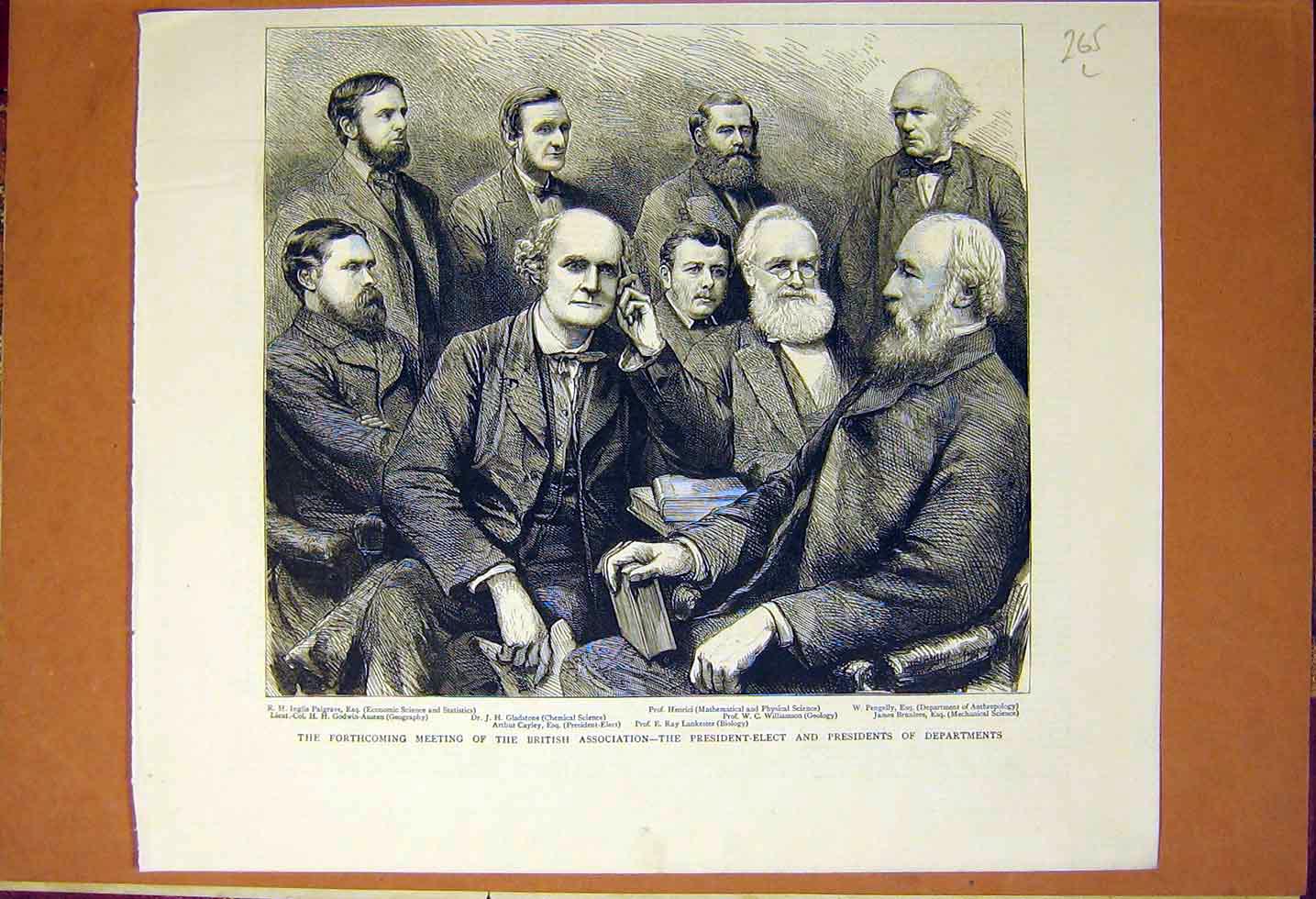 Original Old Antique Print British Association President Meeting Gladstone 1883