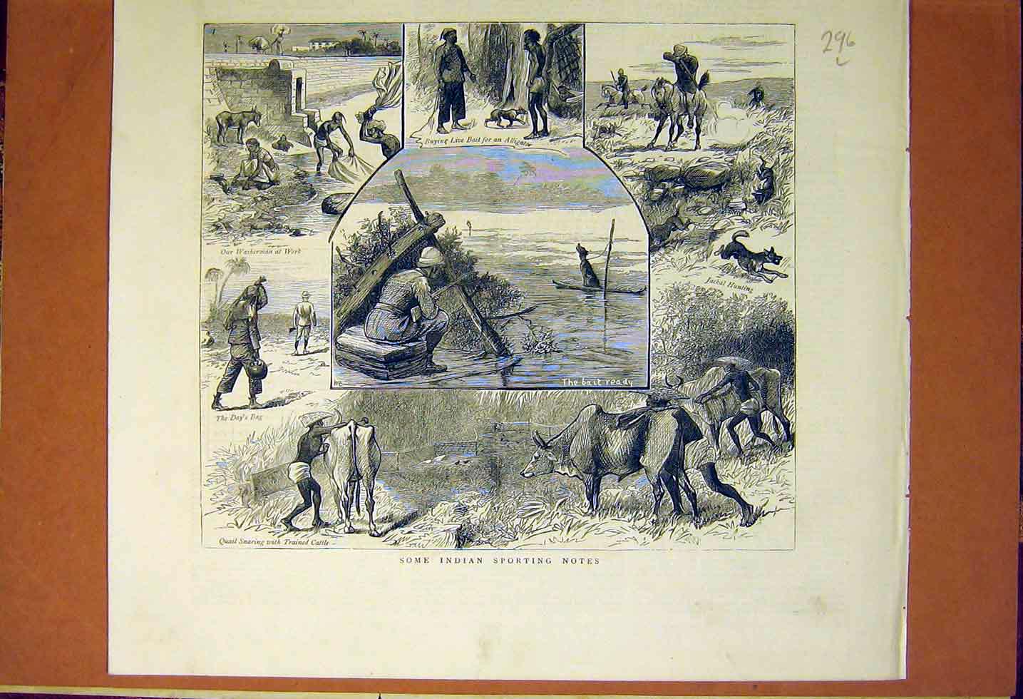 Old Antique Print Indian Sport Sketches Alligator Jackal Hunt Quail 1883 19th