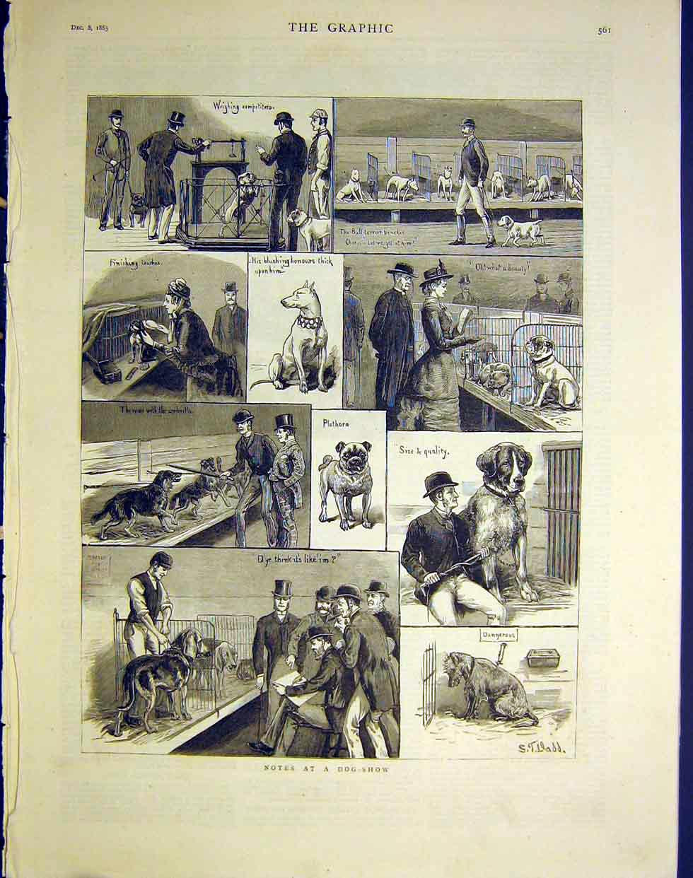 Original Old Antique Print Sketches Dog Show Dadd Terrier Hounds Fine Art 1883