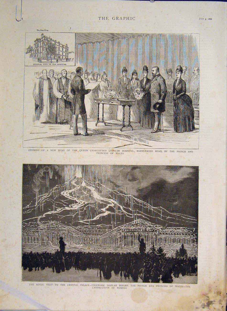 Original Old Antique Print Hospital Marylebone Crystal Palace London 1886 19th