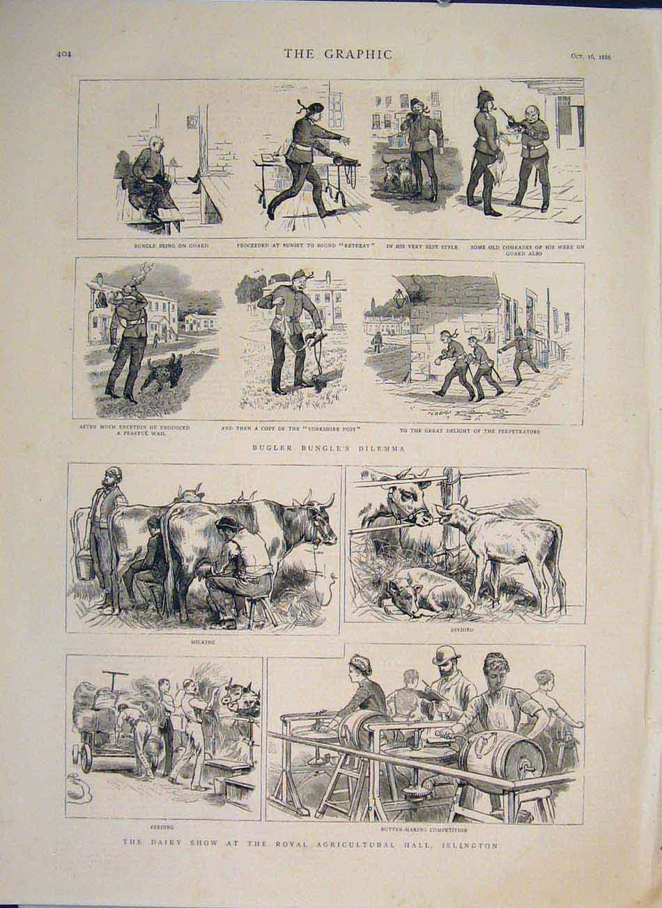 Original Old Antique Print Bugler Bugle Sketches Dairy Show Islington 1886 19th