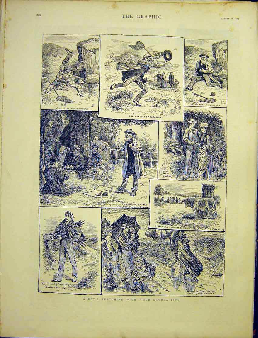 Original Old Antique Print Field Naturalists Sketches 1887 19th