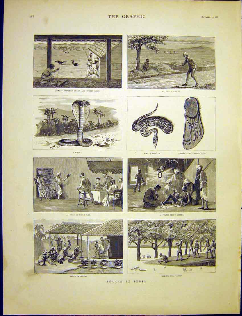 Original Old Antique Print Snakes India Charmers Cobra Crow Police Sepoy 1887