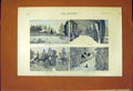 Old Antique Print Sheep-Farmer House Victoria Australia Lodge Garden 1887 19th