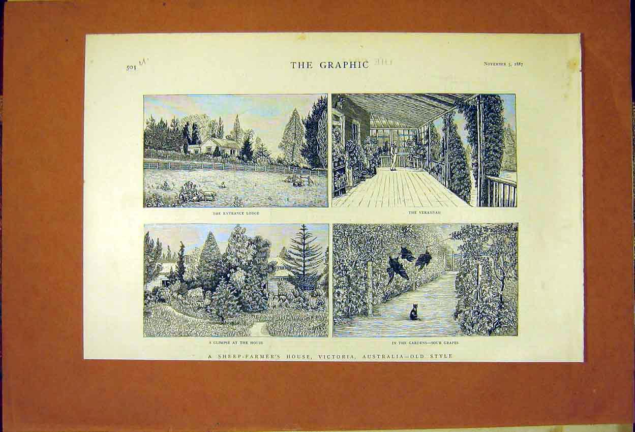 Old Antique Print Sheep-Farmer House Victoria Australia Lodge Garden 1887 19th