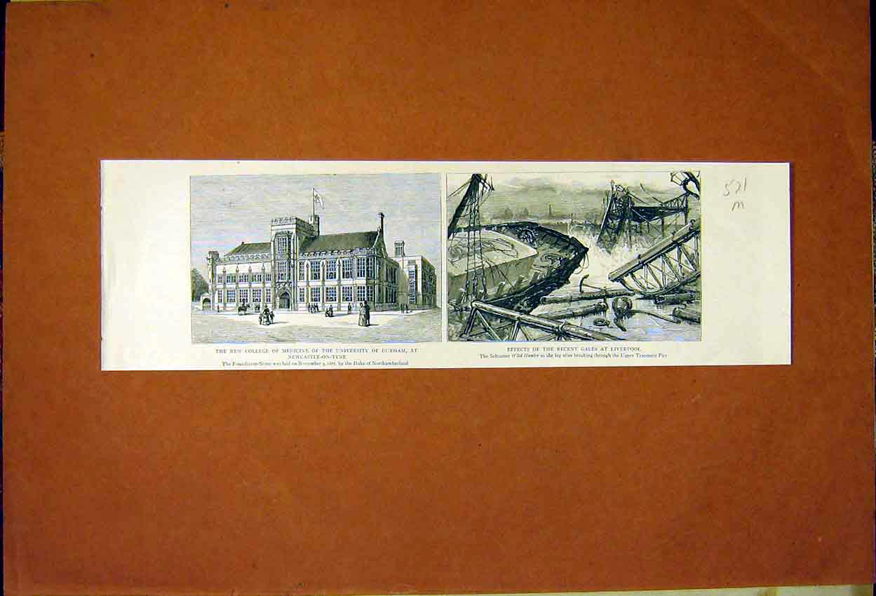 Old Antique Print College Medicine University Durham Liverpool Schooner