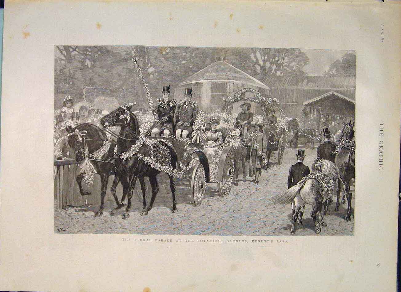 Original Old Antique Print Floral Parade Botanical Gardens Regent'S Park London