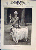Original Old Antique Print Pet Goat Welsh Regiment Cairo Egypt Photograph 1889