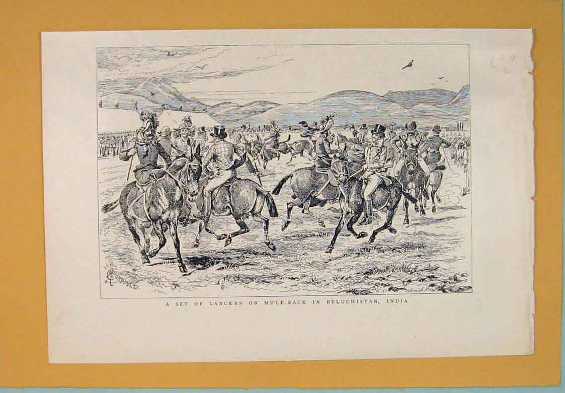 Original Old Antique Print Lancers Mule Beluchistan India Mules 1889 Victorian