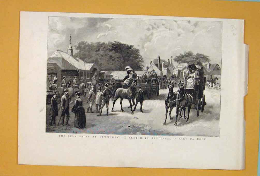 Original Old Antique Print Newmarket Sales Horse Tattersalls Sale Paddock 1890