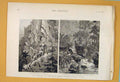 Original Old Antique Print Chin Lushai Expeditionary Force 1890 19th