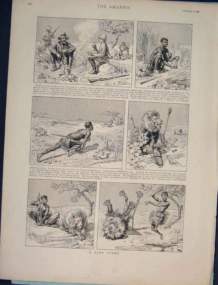 Original Old Antique Print Lion Story Sketch Sletches Africa Cape Bushman 1890
