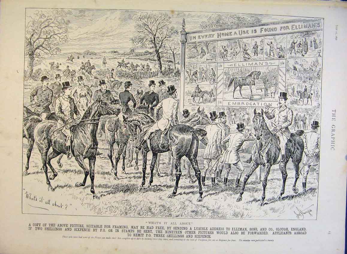 Original Old Antique Print Elliman'S Embrocation Advertisement Horses 1891 19th