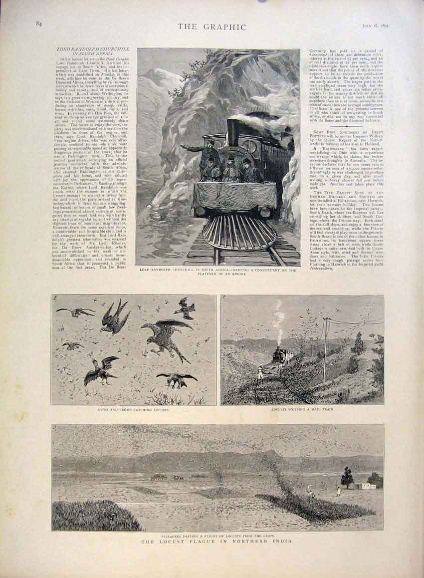 Original Old Antique Print Churchill Africa Locust Plague Northern India 1891