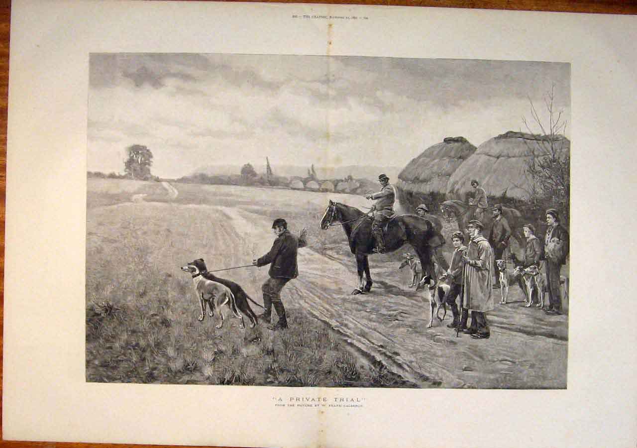 Original Old Antique Print Private Trial Calderon Dogs Hunt Fine Art 1891 19th