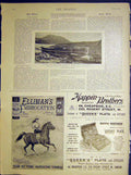 Old Antique Print Shipbuilding Japan Mail Steamer Advert Elliman'S Mappin