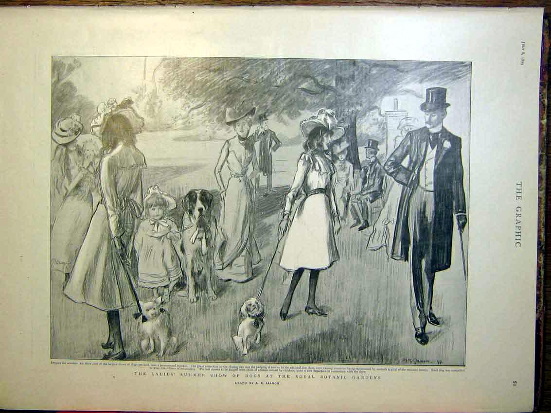 Original Old Antique Print Ladies Summer Show Dogs Royal Botanic Gardens 1899