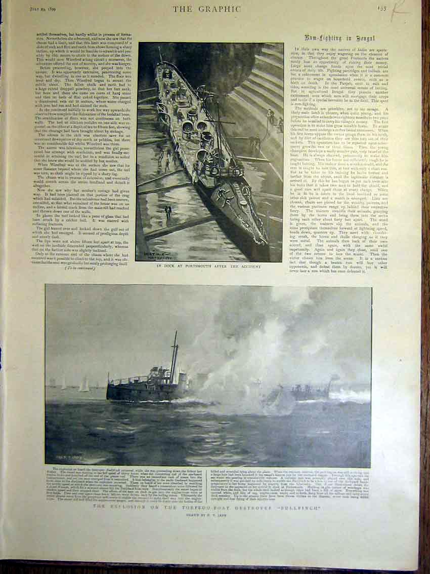 Old Antique Print Portsmouth Torpedo Boat Bullfinch Battleship Fruit 1899 19th