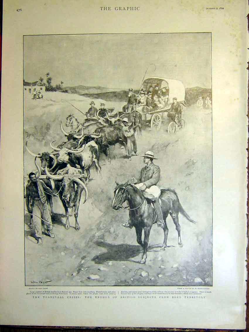 Original Old Antique Print Transvaal Crisis Boer War British Exodus Paget 1899
