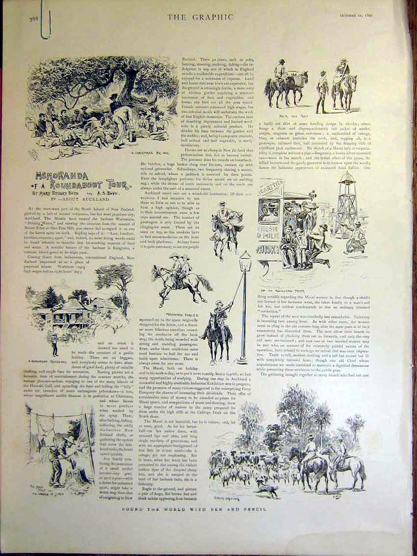 Original Old Antique Print Roundabout Tour Auckland Sketches Boyd 1899 19th