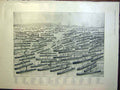 Original Old Antique Print War Fleet Steamers Transports Troops Africa 1899 19th