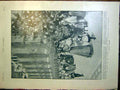 Original Old Antique Print Queen Sier Family Christmas Tree Windsor Fusiliers