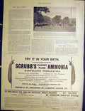 Old Antique Print Warings Paris Exhibition Pavilion Scrubb'S Ammonia 1900 20th