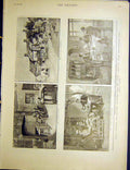 Original Old Antique Print Royal Sympathy Officers Babingley House Convalescent