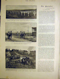 Old Antique Print Transport Traction Engine Howick Africa Sterkstrom 1900 20th