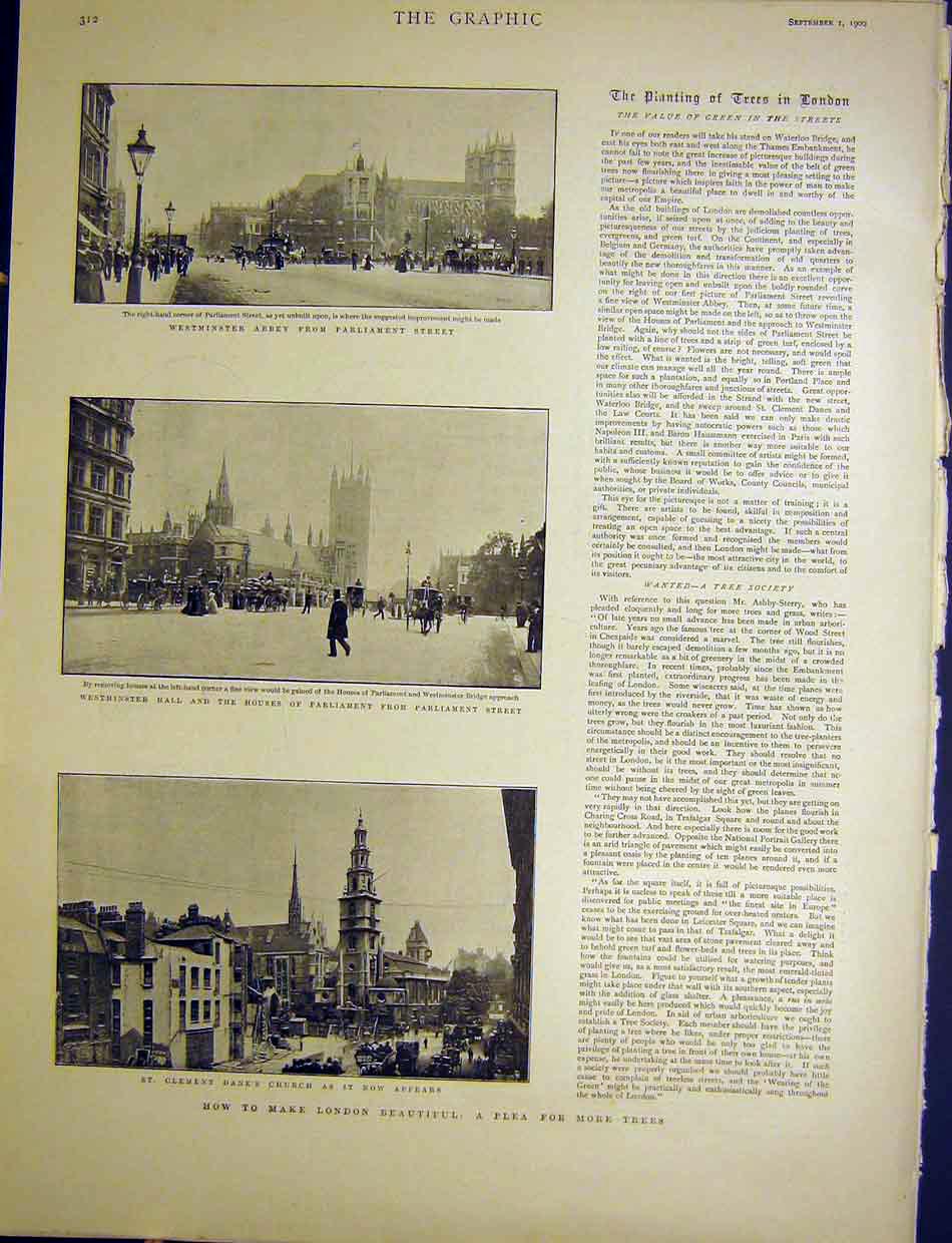Original Old Antique Print Westminster Abbey Hall Parliament London Trees 1900