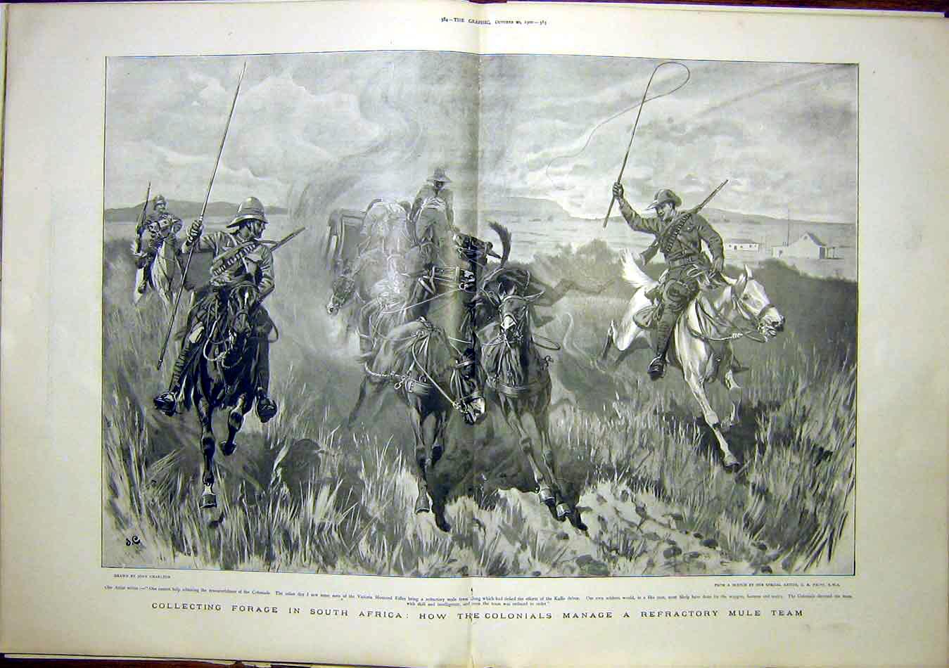 Original Old Antique Print Africa Sier War Colonial Horse Mule Charlton 1900