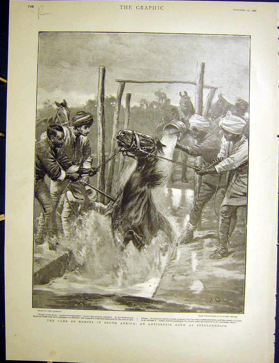 Original Old Antique Print South Africa Horses Charlton Buller Aldershot 1900