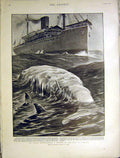 Original Old Antique Print Ocean Battlefield Sketch Jamaica Maud Ship 1901 20th