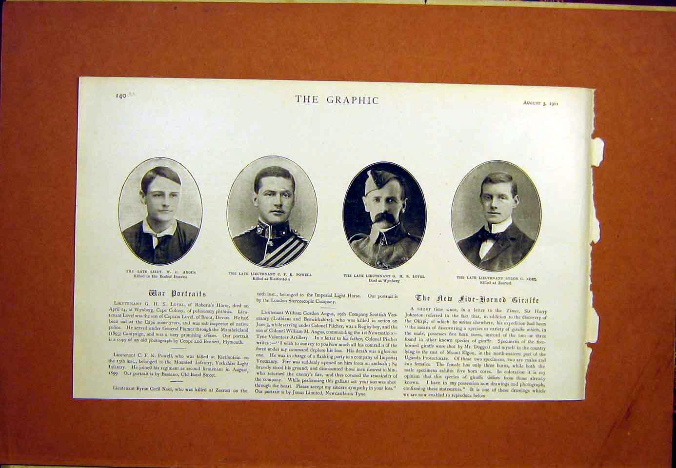 Original Old Antique Print Portrait Siers Angus Powell Lovel Noel 1901 20th