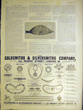 Original Old Antique Print Airship Fish Balloon Advert Gsmith Silversmith 1901