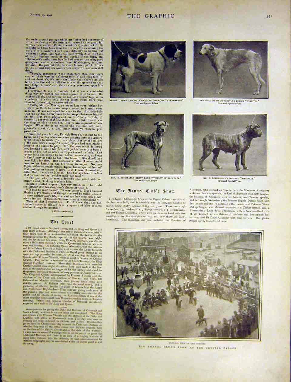 Original Old Antique Print Kennel Club Show Crystal Palace Dogs Bernard 1901