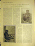 Original Old Antique Print Uganda Protectorate Chimpanze Ankole Bull Toto Masai