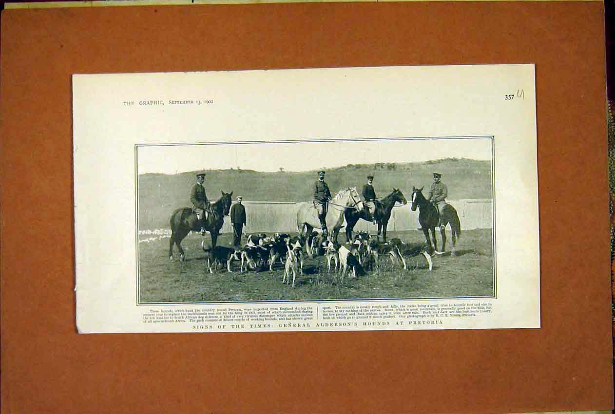 Original Old Antique Print General Alderson Hounds Pretoria Hunt 1902 20th