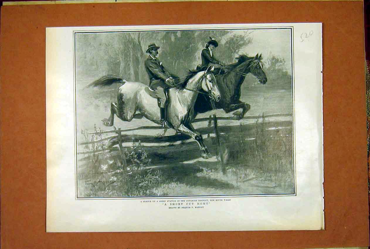 Original Old Antique Print Sheep Station Goulburn New South Wales Mahony 1902