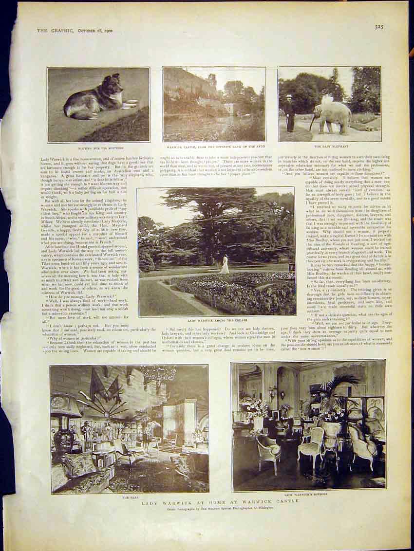 Original Old Antique Print Warwick Castle Avon Cedar Tree Elephant Boudoir 1902