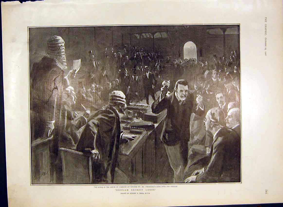 Original Old Antique Print Bedlam House Commons O'Donnell Premier Hall 1902 20th